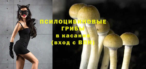 молекула духа Нефтекумск