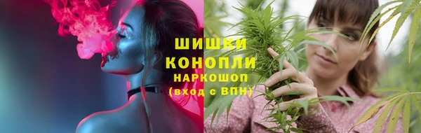 соль ск Нея