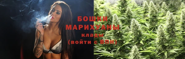 молекула духа Нефтекумск
