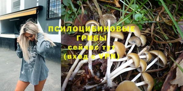 молекула духа Нефтекумск