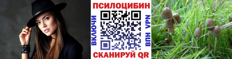 Псилоцибиновые грибы Psilocybe  Советск 